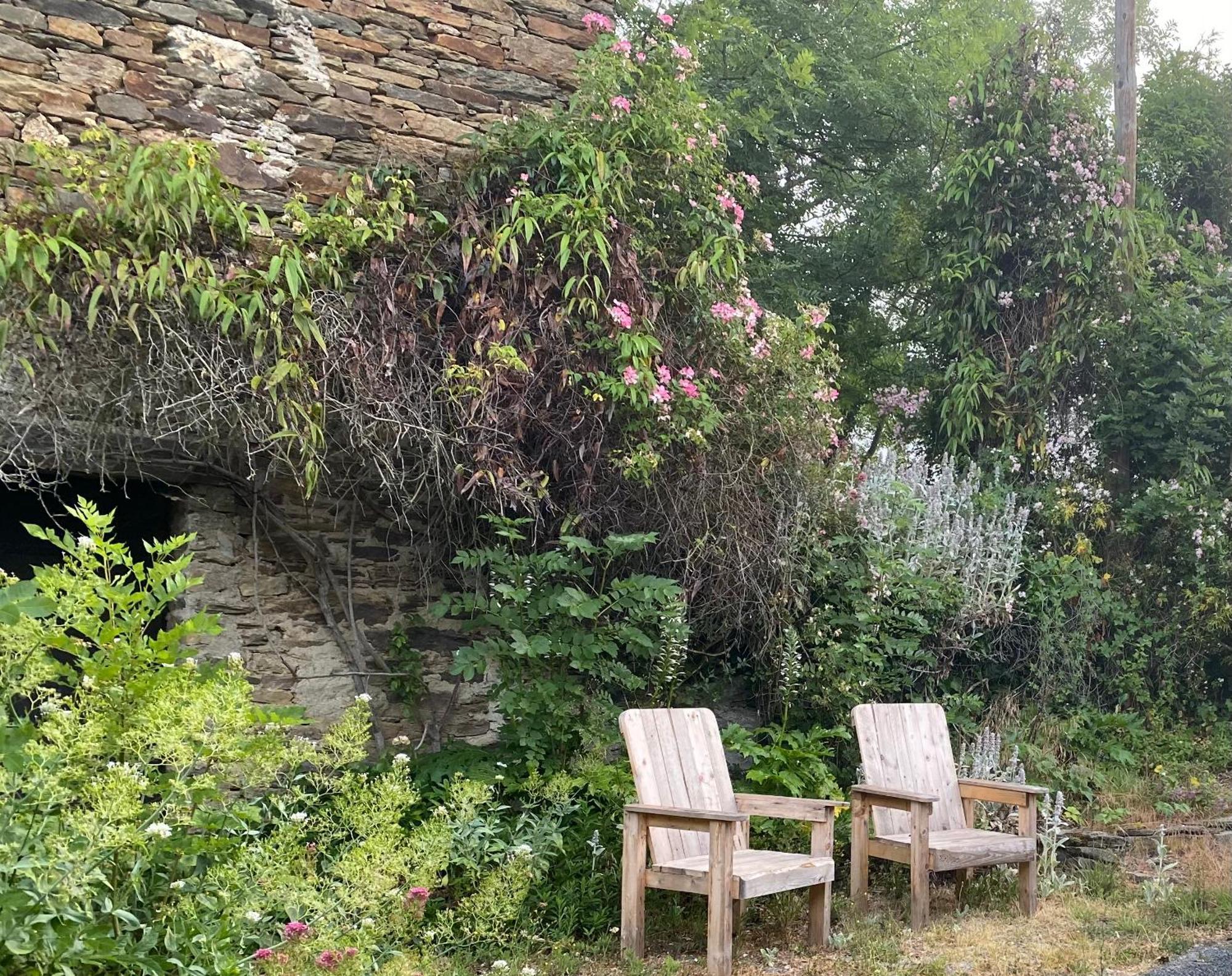 فيلا Cayssials La Bastide-Solages المظهر الخارجي الصورة